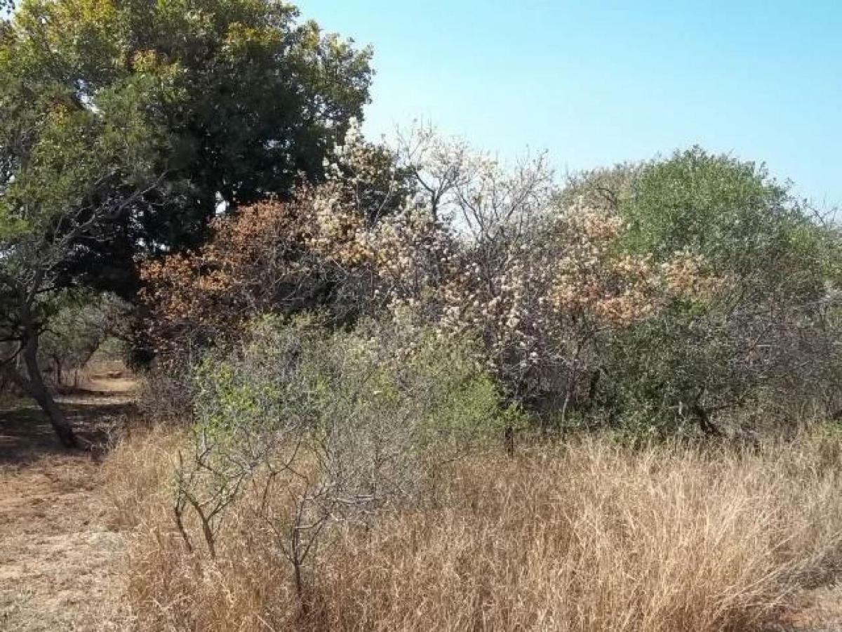 Aloes Bush Stay Hoedspruit Exterior foto