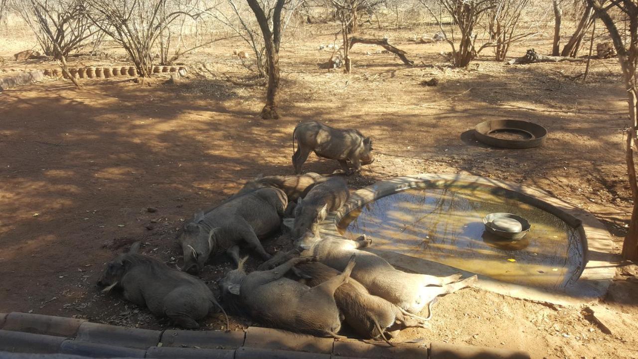 Aloes Bush Stay Hoedspruit Exterior foto